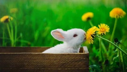 爱游戏体育（AYX）官方APP下载-美国CS_GO战队备战Copenhagen Major，csgo美洲战队