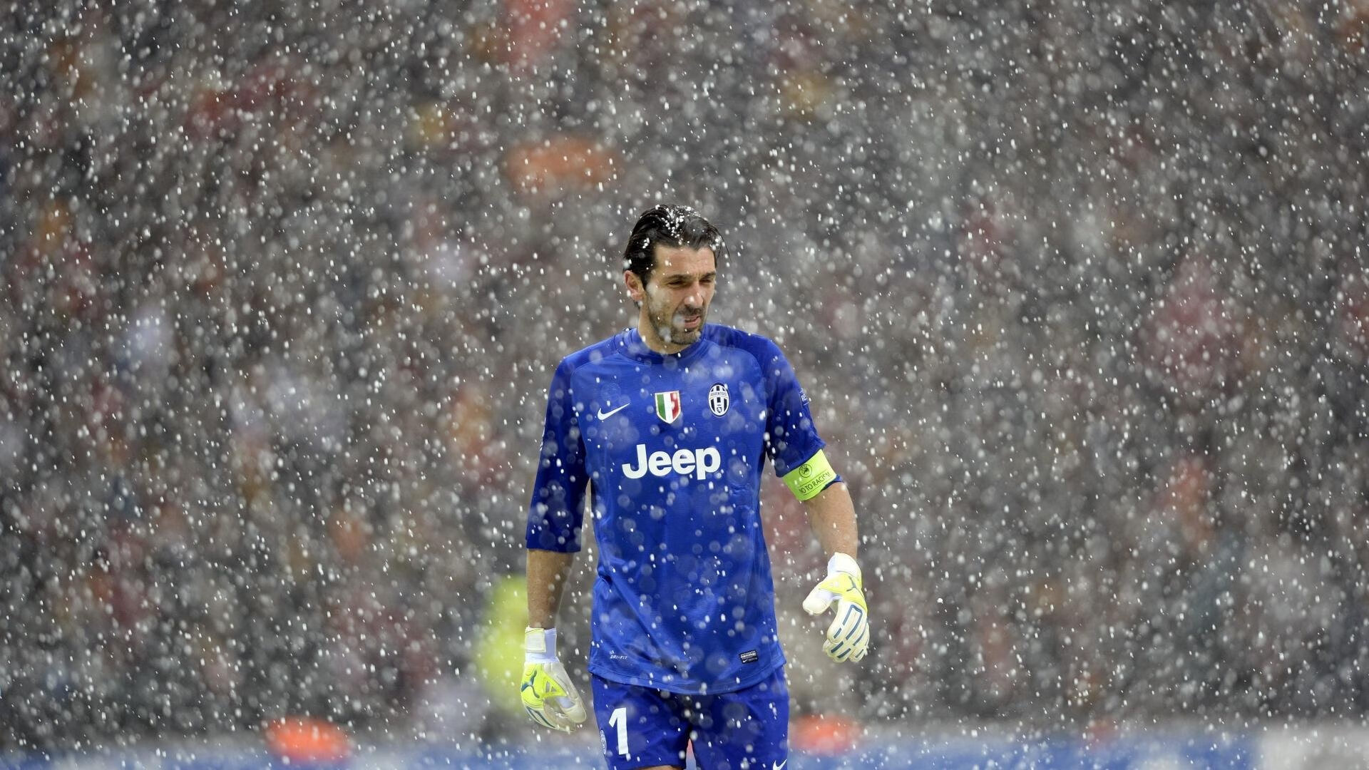 “萨尔·巴赫：南非新一代橄榄球天才”