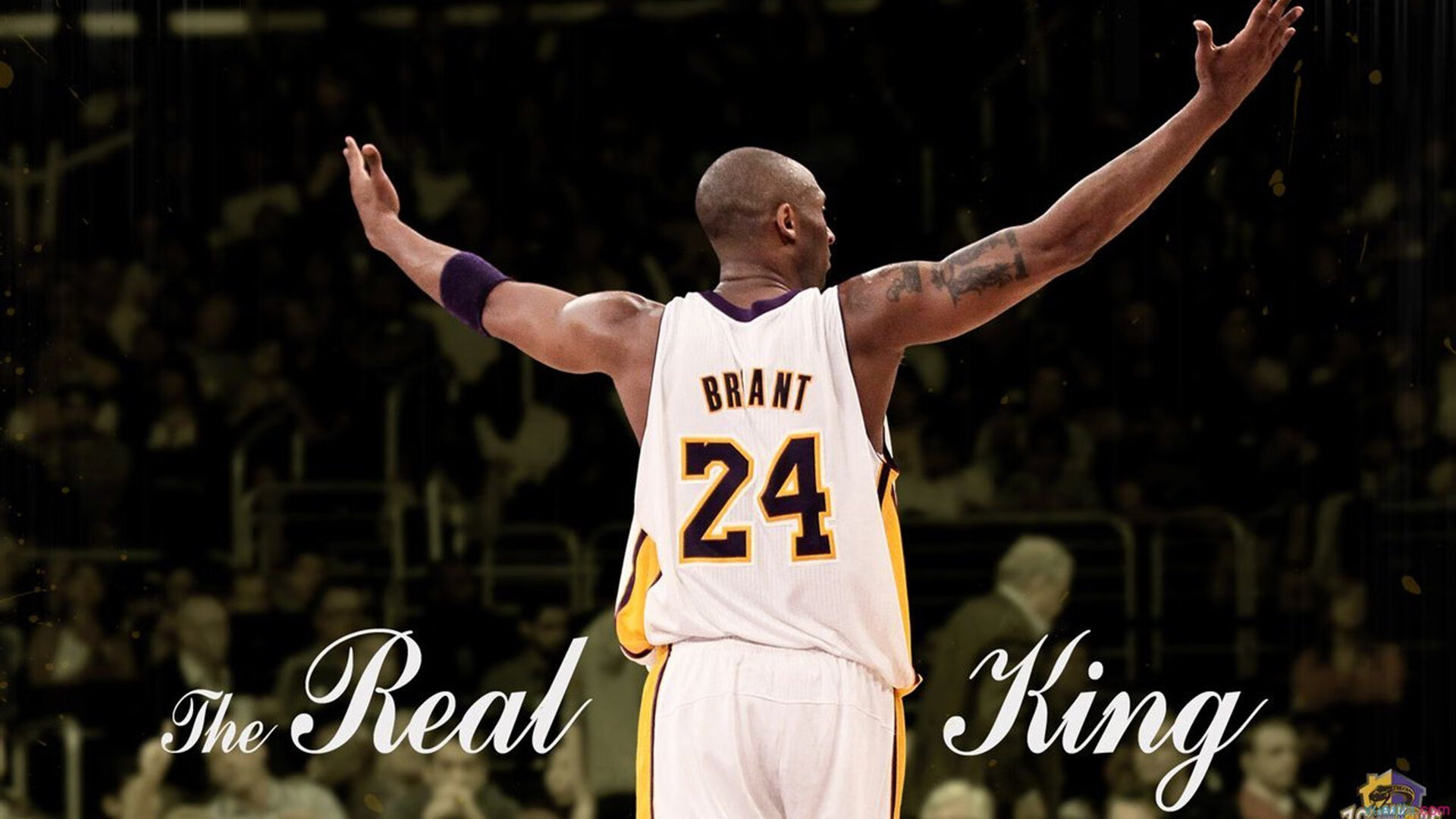 【运动员故事】马克·塞尔比：用坚韧铺就冠军道路，马克塞尔比训练